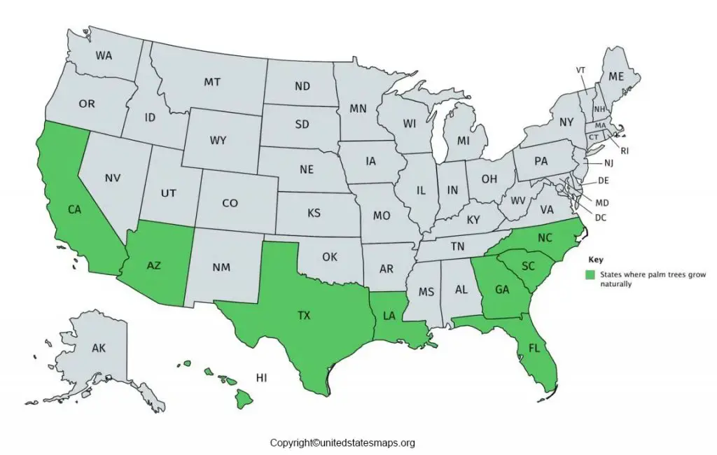 area code map us