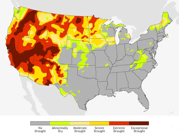 US Drought Monitor Map