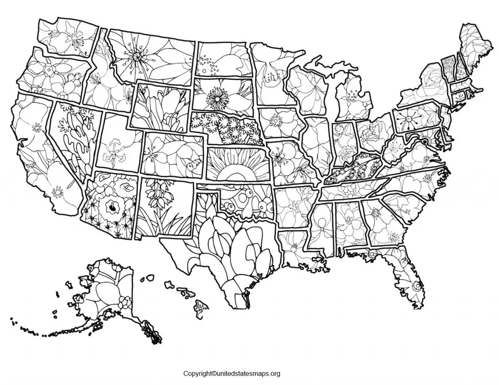 us coloring map