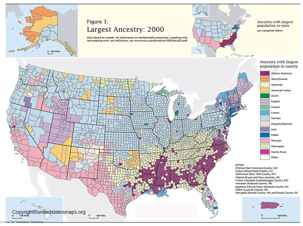 Ethnicity Map of USA
