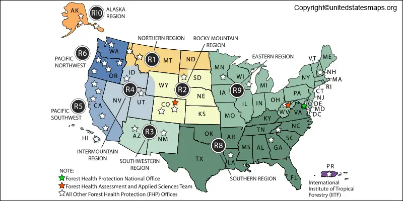 United States Forest Service Fire Map