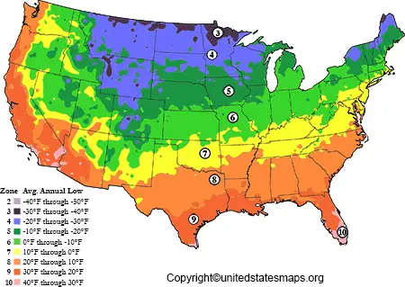 US Planting Zone Map