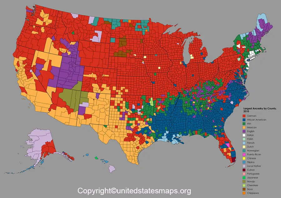 Printable US Ethnicity Map