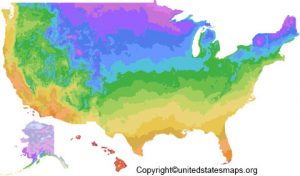 US Hardiness Zone Map Hardiness - Usa Hardiness Zone Map 300x176