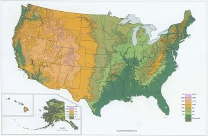 US Elevation Map | Elevation Map of USA with Key