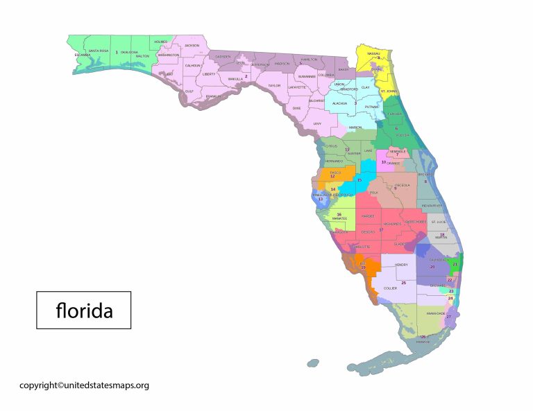 Florida Political Map  Political Map of Florida with Cities