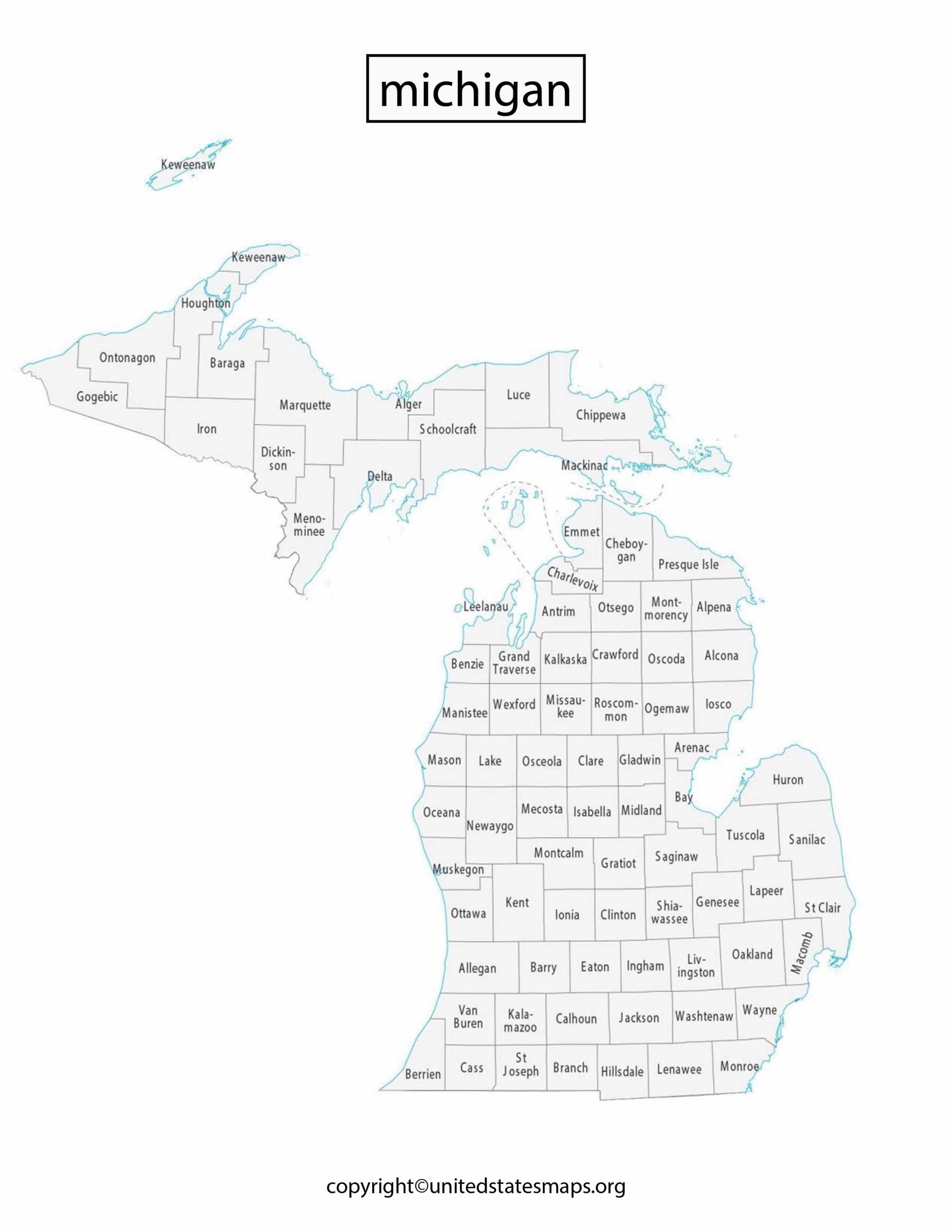 Michigan Political Map | Political Map of Michigan Counties