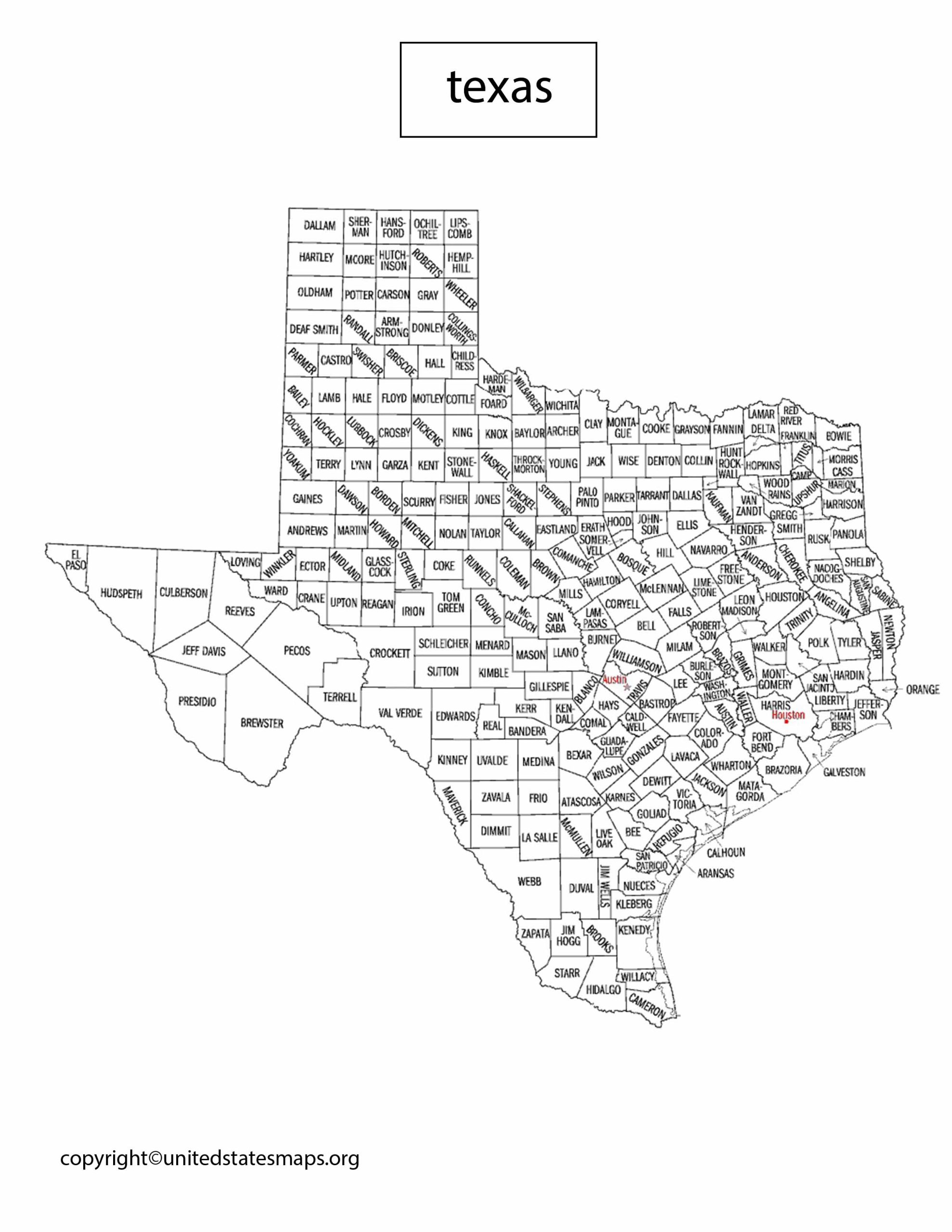 Texas Political Map | Map of Texas County by Political Party